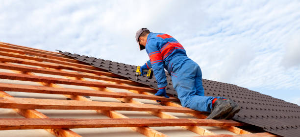 Best Skylight Installation and Repair  in Ford Heights, IL