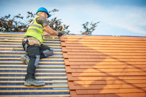 Best Asphalt Shingle Roofing  in Ford Heights, IL
